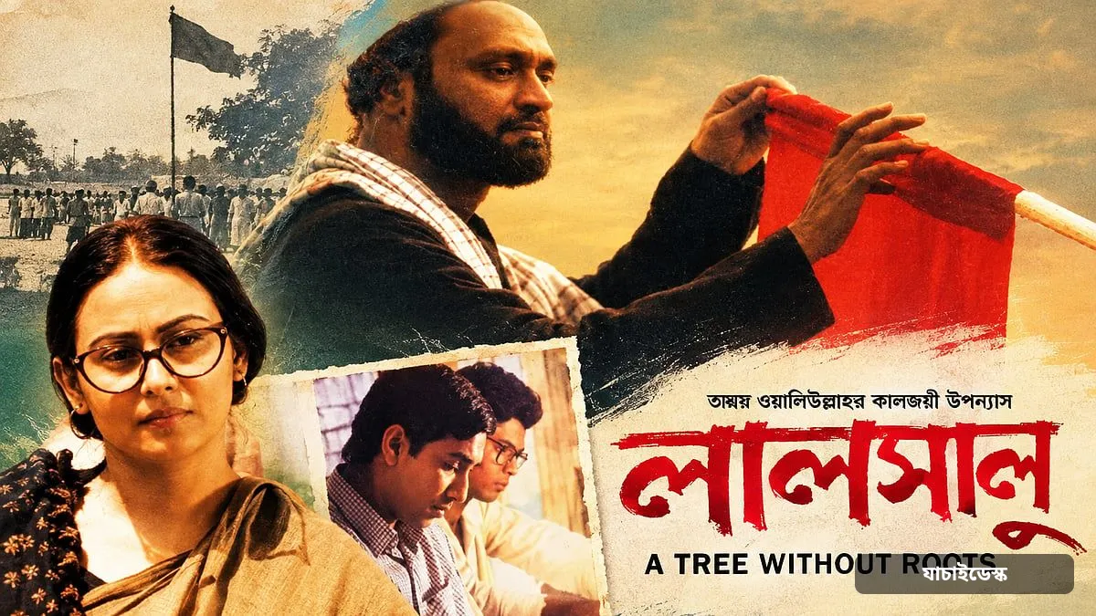 বিমানে ‘লালসালু’ ও ‘চিত্রা নদীর পারে’ বন্ধের কারণ কী?