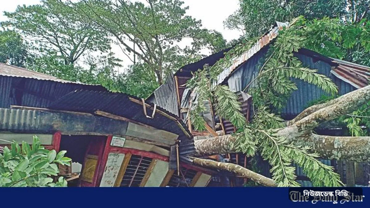 ঘূর্ণিঝড় বুলবুল ২০১৯: সুন্দরবন হয়ে আঘাত, ৯ জেলায় ২৬ প্রাণহানি — ছবি: The Daily Star — 26 die as Bulbul batters coasts (2019)