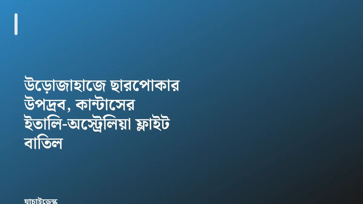 উড়োজাহাজে ছারপোকার উপদ্রব, কান্টাসের ইতালি-অস্ট্রেলিয়া ফ্লাইট বাতিল — যাচাইডেস্ক