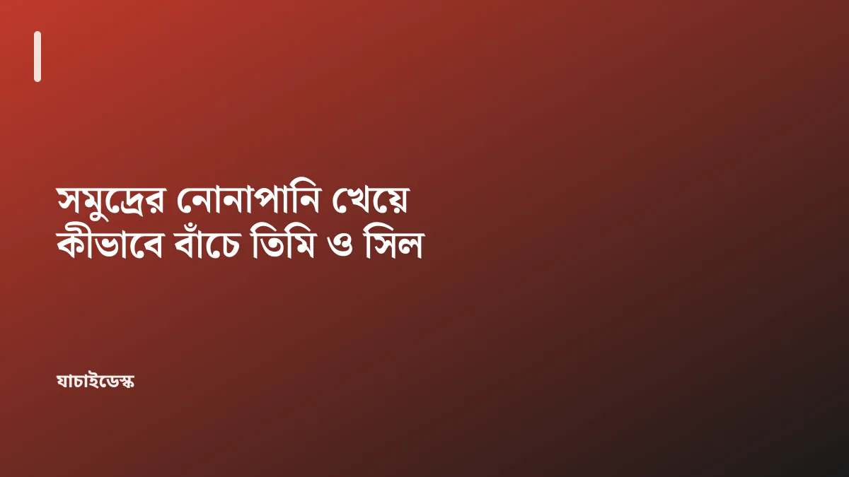সমুদ্রের নোনাপানি খেয়ে কীভাবে বাঁচে তিমি ও সিল — যাচাইডেস্ক