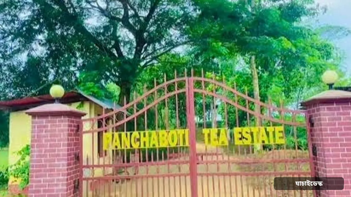 চা–বাগানের সামনে ওত পেতে ছিল ছিনতাইকারীরা, ব্যবস্থাপকসহ দুজনকে কুপিয়ে ৭ লাখ ২০ হাজার টাকা ছিনতাই