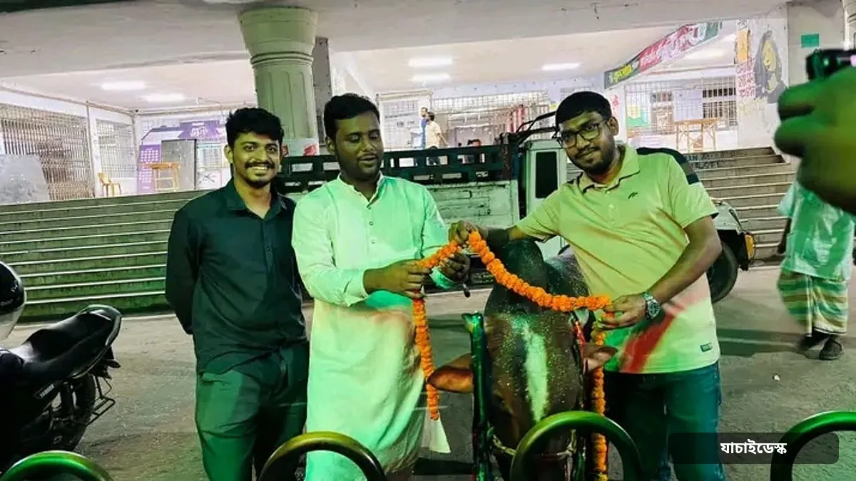 বিজ্ঞপ্তির প্রতিবাদে ‘গরুভোজ’, সোয়া লাখ টাকায় কেনা হলো গরু
