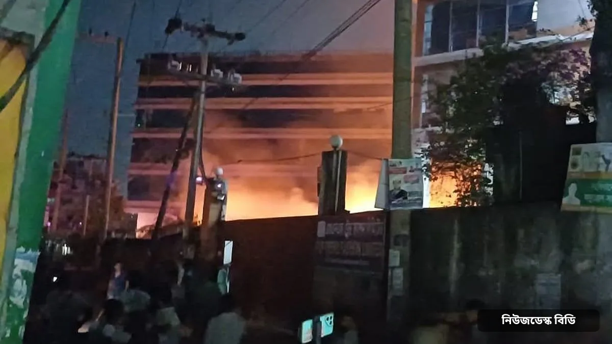 কাভার্ড ভ্যানে কারখানার জন্য গ্যাস সিলিন্ডার বহন অনিরাপদ, তদন্ত কমিটি গঠন — ছবি: প্রথম আলো