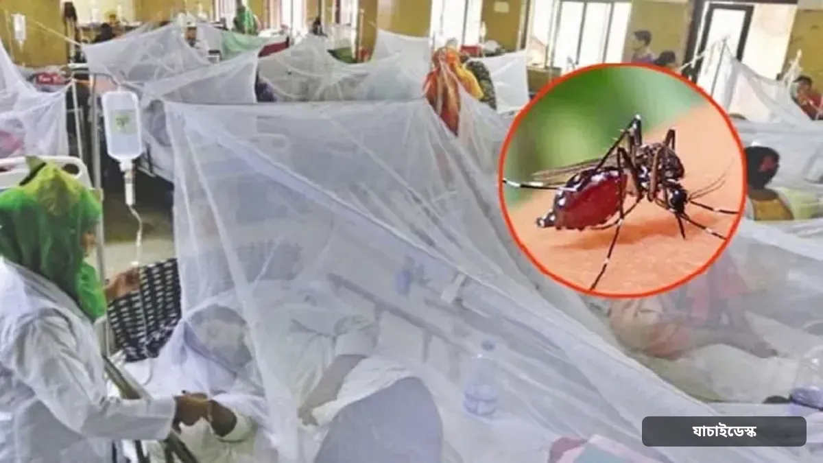 ডেঙ্গুতে আরও ৫ জনের মৃত্যু, হাসপাতালে নতুন ভর্তি ১৯৩৫