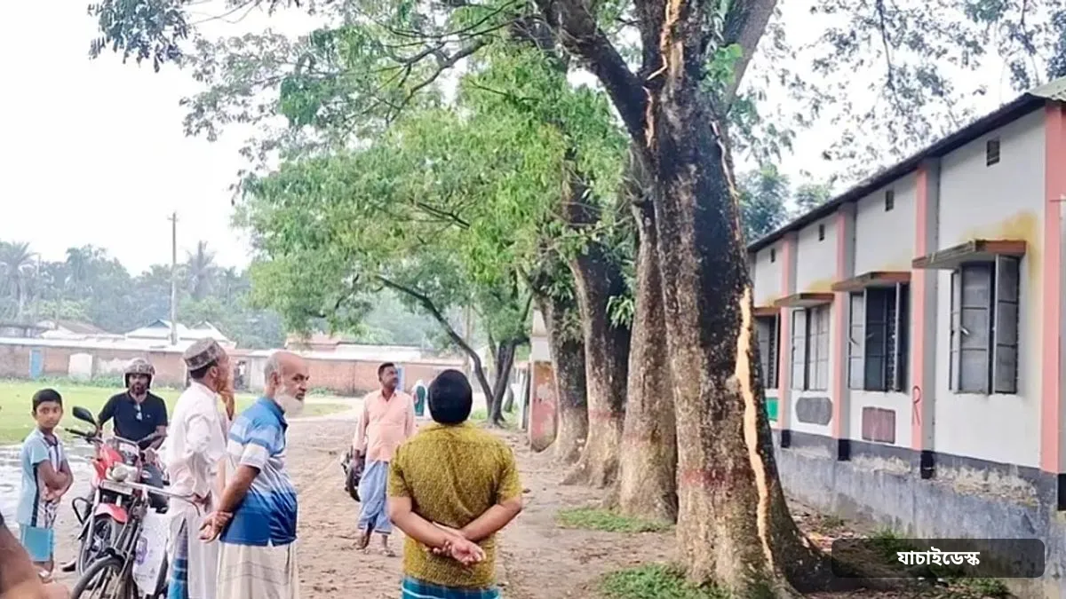 বজ্রপাতে স্কুলমাঠের গাছ ফেটে চৌচির, জ্ঞান হারাল তিন শিক্ষার্থী