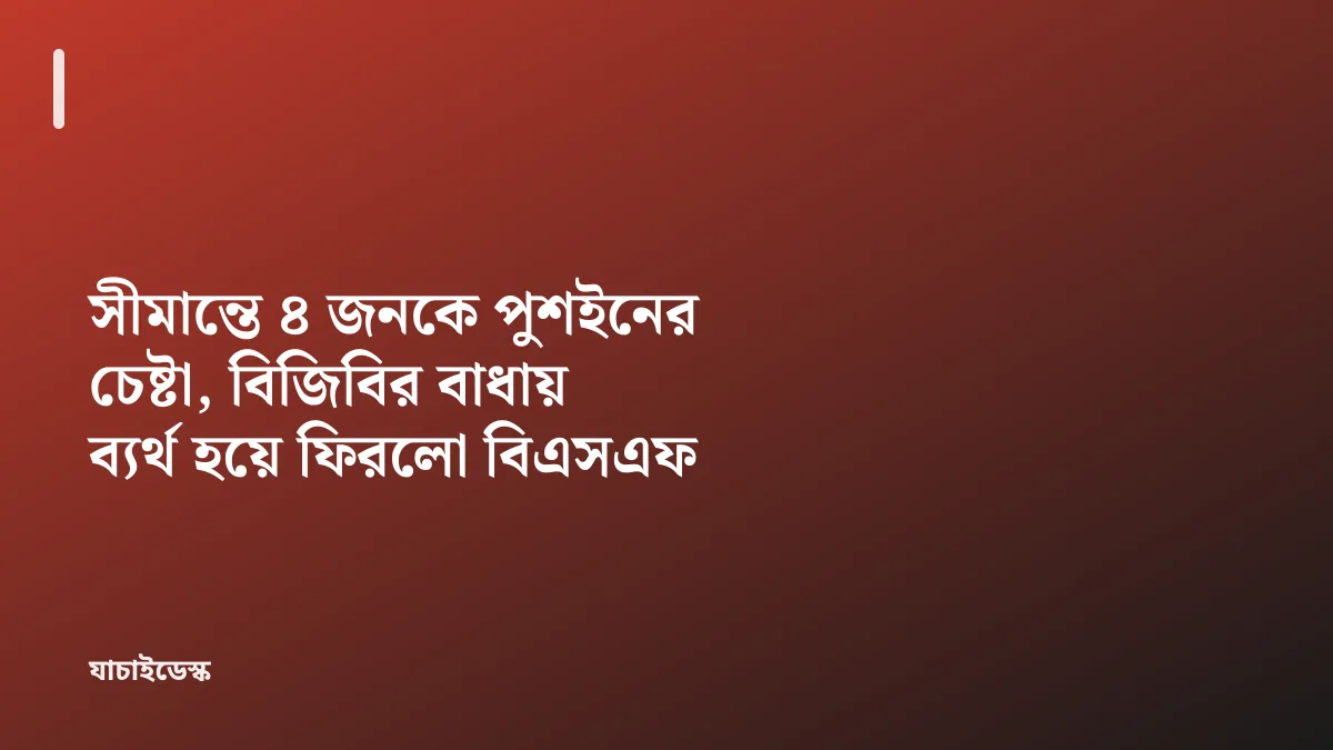 সীমান্তে ৪ জনকে পুশইনের চেষ্টা, বিজিবির বাধায় ব্যর্থ হয়ে ফিরলো বিএসএফ — যাচাইডেস্ক