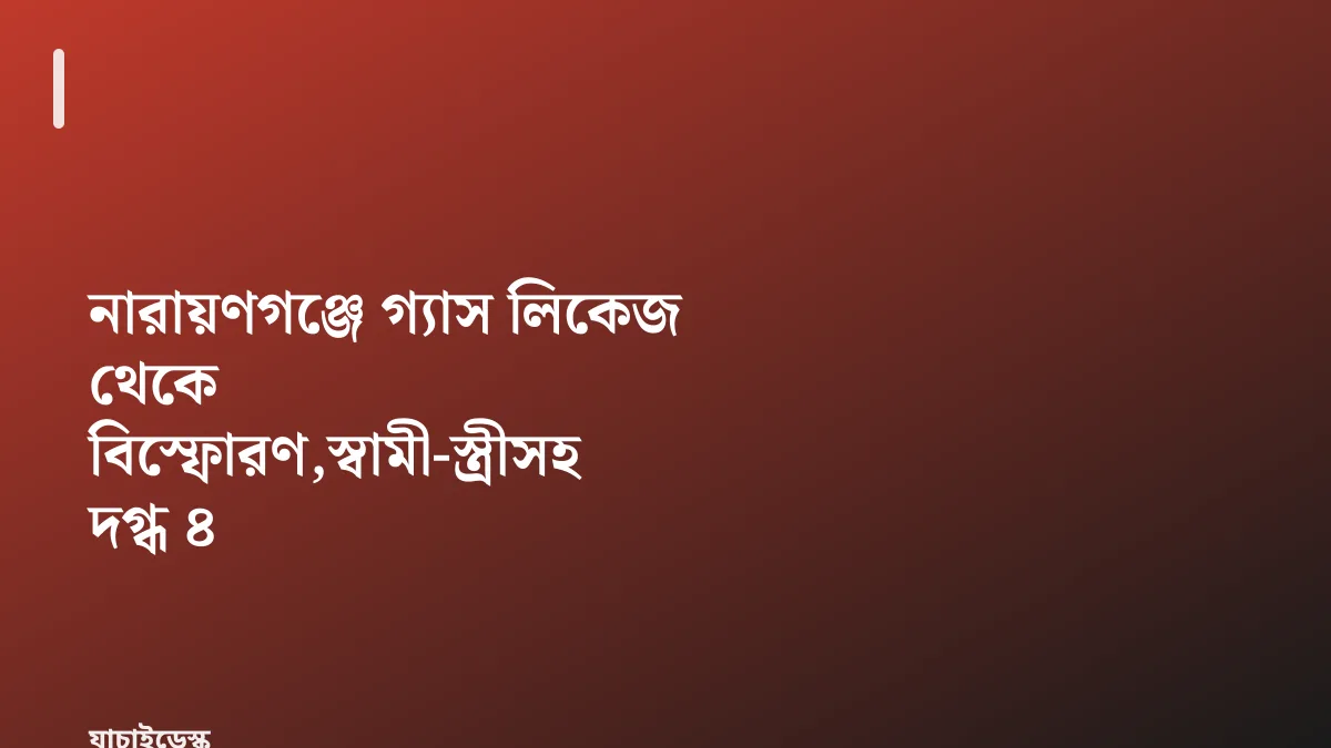নারায়ণগঞ্জে গ্যাস লিকেজ থেকে বিস্ফোরণ,স্বামী-স্ত্রীসহ দগ্ধ ৪ — যাচাইডেস্ক