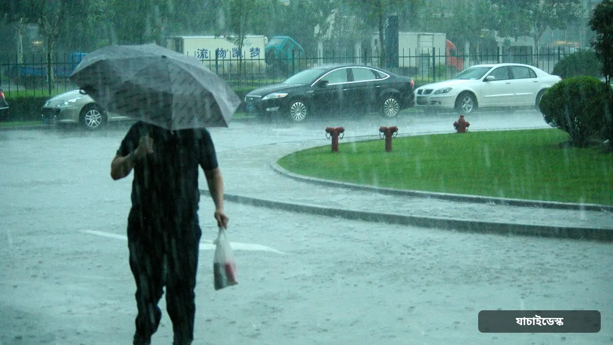 সন্ধ্যার মধ্যে যেসব জেলায় বজ্রবৃষ্টির আভাস — ছবি: Jakub Hałun (BY-SA)