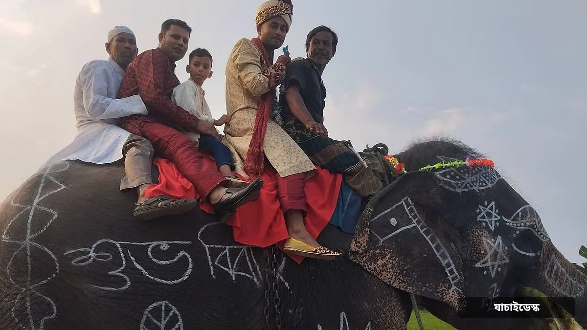 মা–বাবার ইচ্ছা পূরণে হাতির পিঠে বরযাত্রা, দেখতে ভিড় স্থানীয়দের